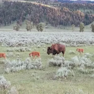 비아그라 사이트 관련 정보 가이드 온라인 의약품 정보의 올바른 이해
